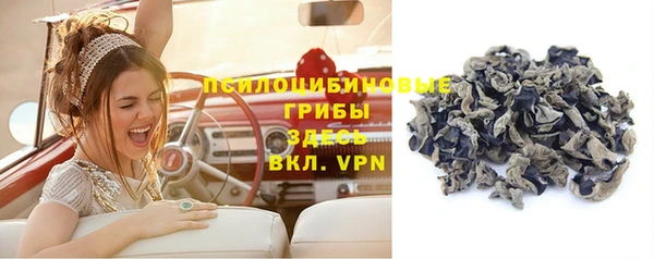 прущий лед Армянск
