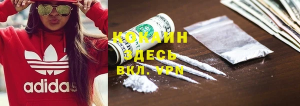 PSILOCYBIN Аркадак