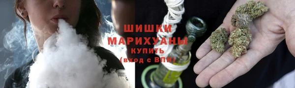 PSILOCYBIN Аркадак