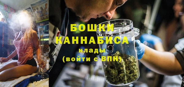 PSILOCYBIN Аркадак