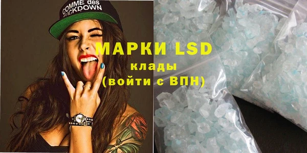 PSILOCYBIN Аркадак