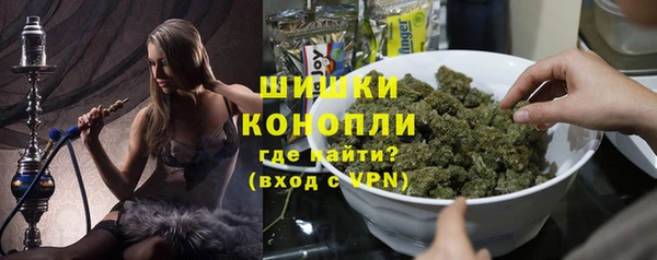 PSILOCYBIN Аркадак