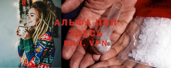 PSILOCYBIN Аркадак