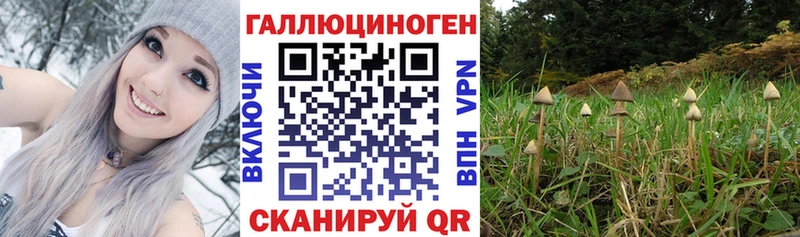 Псилоцибиновые грибы мухоморы  Рыбинск 